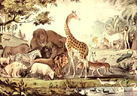 Adam Naming the Creatures.